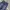Rare item collection✨vtg 90's Akademiks hiphop y2k baggy jea photo 4