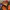 Mountain Hardwear Gorpcore Track jacket Pria orange gray photo 5