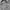 Springfield Wool Charcoal Gray Jacket photo 6