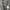Springfield Wool Charcoal Gray Jacket photo 8