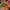 Dragonball Z Logo Small Bags photo 7