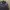 Valentino Biker Casual Trench coat Pria burgundy brown photo 3
