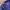 Nautica Gorpcore Track jacket Pria purple black photo 5