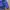 Nautica Gorpcore Track jacket Pria purple black photo 4
