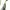 VINTAGE Y2K RAY-BAN R3025 AVIATOR LARGE METAL SUNGLASSES - 2 photo 7