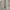 Belt jalin osfa cream gray photo 1