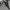 Mini skirt layer D I S C O photo 4