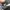 vans sk8 low photo 6