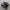 vans sk8 low photo 1