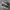 Vans Old Skool Classic Black White ( Size 38 ) photo 3