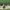 Nike Air Force 1 Utility Frog photo 2