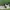 Nike Air Force 1 Utility Frog photo 4