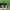 Nike Air Force 1 Utility Frog photo 3