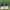 Nike Air Force 1 Utility Frog photo 5