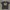 Baju Wu World Order-Wu tang  photo 1