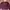 Hoddie Kangol photo 2