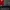 Dennis Berkamp Jersey Arsenal FC Home 1996/998 Nike
