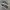 Vans Faulkner Black White ( Size 40 ) photo 4