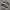 Vans Faulkner Black White ( Size 40 ) photo 3