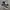 Vans Faulkner Black White ( Size 40 ) photo 1
