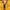 Daiz Vintage Yellow Puffer Vest photo 2