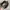 Realtree hat MossyOak official photo 6