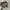 Realtree hat MossyOak official photo 2