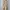 Gemmi by Grunstein Fur coat Wanita cream photo 4