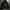 Genuine products panhard utility jacket photo 2