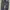 coogi bagy pants photo 6