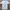 Space Jam Casual T-shirt Pria White