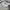 Sepatu Salomon XT-6 White Lunar Rock  photo 2