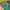 Nike Streetwear Sportswear Track jacket Pria green yellow photo 8