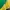 Nike Streetwear Sportswear Track Jacket Pria Green Yellow