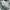 Y2K True Love False Idols AOP Tshirt photo 4