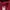 HODIE NFL MINENESOTA CLUB X G U photo 5