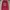 HODIE NFL MINENESOTA CLUB X G U photo 1