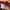 SWEAT SHIRT GRAHPYC TEE X HARRY POTTER GRYFFINDOR photo 7