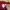 SWEAT SHIRT GRAHPYC TEE X HARRY POTTER GRYFFINDOR photo 8
