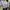 Lilac Ruched Puff Top photo 5