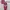 Cheongsam Sangjit Couple Party Dress photo 2