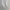 Jogger Pants Descente Essentials Spellout photo 5