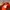 Topi vintage y2k bordir orange photo 5