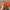 Topi vintage y2k bordir orange photo 2