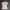 Armani Jeans polo shirt photo 1