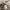 RAGEBLUE photo 4