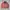 Carhartt Luxury Casual Pria Pink