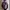 Tuscarora Blocktech Dark Purple Outdoor Jacket Gropcore photo 1