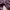 Tuscarora Blocktech Dark Purple Outdoor Jacket Gropcore photo 7
