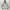 Nautica Hooded With Retractable Grey Jacket Gropcore photo 1